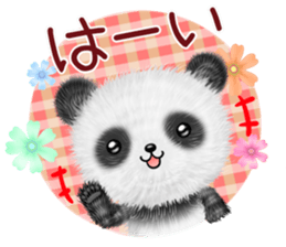 pandanda sticker #13141476