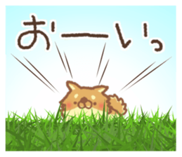 Mr.Pomemaru 3 sticker #13143065