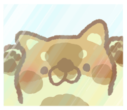 Mr.Pomemaru 3 sticker #13143072