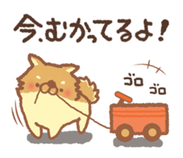 Mr.Pomemaru 3 sticker #13143076