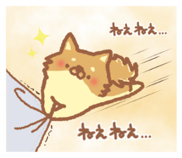 Mr.Pomemaru 3 sticker #13143081