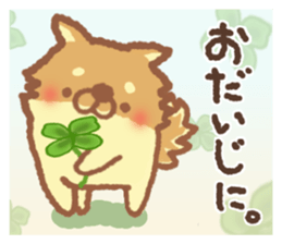 Mr.Pomemaru 3 sticker #13143086