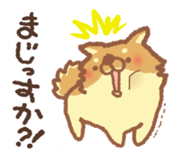 Mr.Pomemaru 3 sticker #13143088