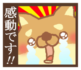 Mr.Pomemaru 3 sticker #13143094