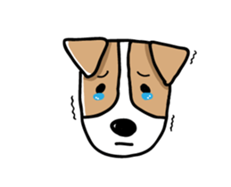 FIN of jack Russell terrir sticker #13145888
