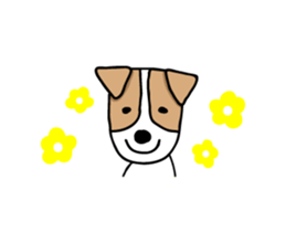 FIN of jack Russell terrir sticker #13145890