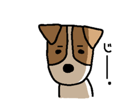 FIN of jack Russell terrir sticker #13145894