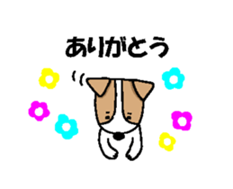 FIN of jack Russell terrir sticker #13145898