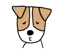 FIN of jack Russell terrir sticker #13145904