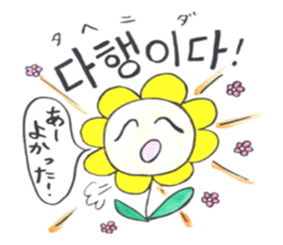 Korean-Japanese sunflower "tommy"~feel sticker #13146091