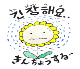 Korean-Japanese sunflower "tommy"~feel sticker #13146093