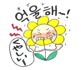 Korean-Japanese sunflower "tommy"~feel sticker #13146102
