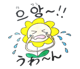 Korean-Japanese sunflower "tommy"~feel sticker #13146103