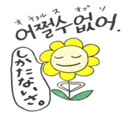 Korean-Japanese sunflower "tommy"~feel sticker #13146109
