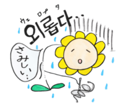 Korean-Japanese sunflower "tommy"~feel sticker #13146110