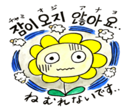 Korean-Japanese sunflower "tommy"~feel sticker #13146111