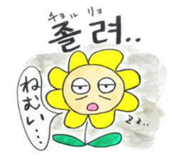 Korean-Japanese sunflower "tommy"~feel sticker #13146112