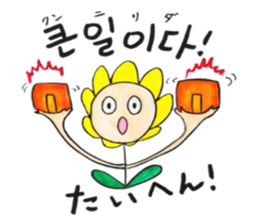 Korean-Japanese sunflower "tommy"~feel sticker #13146120