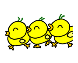 Piyoland-a-3 sticker #13146342