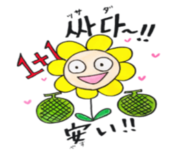 Korean-Japanese sunflower "tommy"~useful sticker #13147217