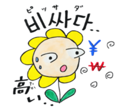 Korean-Japanese sunflower "tommy"~useful sticker #13147221