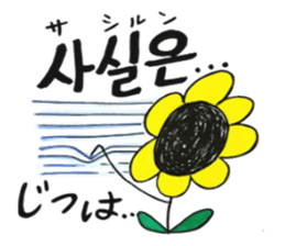 Korean-Japanese sunflower "tommy"~useful sticker #13147239