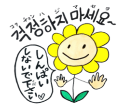 Korean-Japanese sunflower "tommy"~useful sticker #13147244