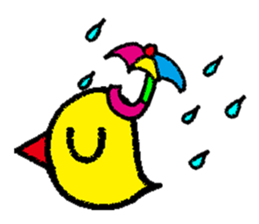 Piyo this greeting sticker #13151217