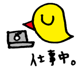 Piyo this greeting sticker #13151221