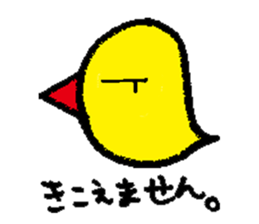 Piyo this greeting sticker #13151226