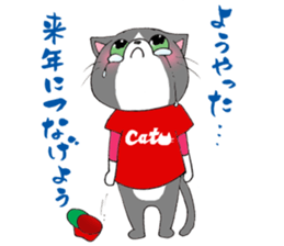 Hiroshima Cat 7 Winter sticker #13151700