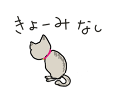 Retrospective of cat. sticker #13152519