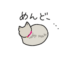 Retrospective of cat. sticker #13152540