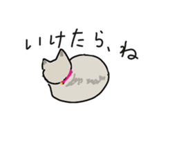 Retrospective of cat. sticker #13152541