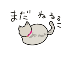 Retrospective of cat. sticker #13152542
