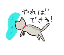 Retrospective of cat. sticker #13152550