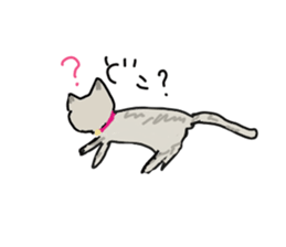 Retrospective of cat. sticker #13152556