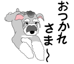 JIJI THE SCHNAUZER sticker #13154121