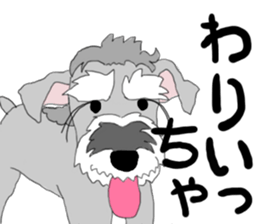 JIJI THE SCHNAUZER sticker #13154122