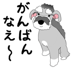 JIJI THE SCHNAUZER sticker #13154129