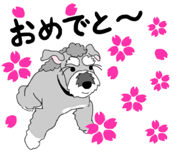 JIJI THE SCHNAUZER sticker #13154137