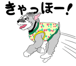 JIJI THE SCHNAUZER sticker #13154144