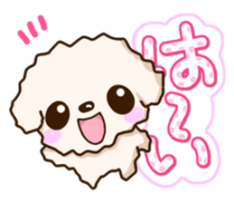 White Toy poodle. sticker #13154270