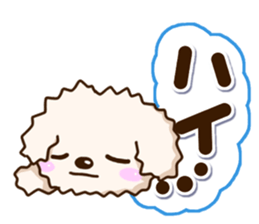 White Toy poodle. sticker #13154272