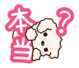 White Toy poodle. sticker #13154275