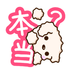 White Toy poodle. sticker #13154279