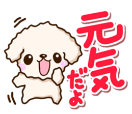 White Toy poodle. sticker #13154282
