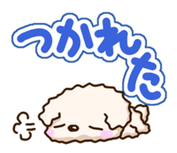 White Toy poodle. sticker #13154287