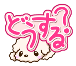 White Toy poodle. sticker #13154290