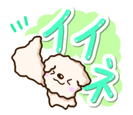 White Toy poodle. sticker #13154295